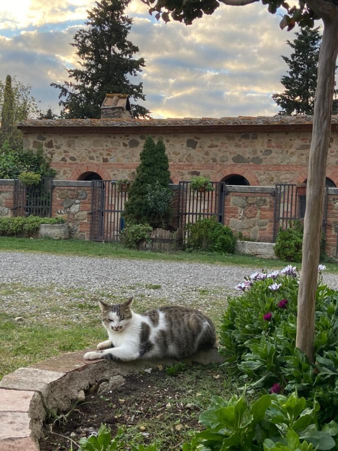Agriturismo Il Pozzo Castiglione dʼOrcia Eksteriør billede