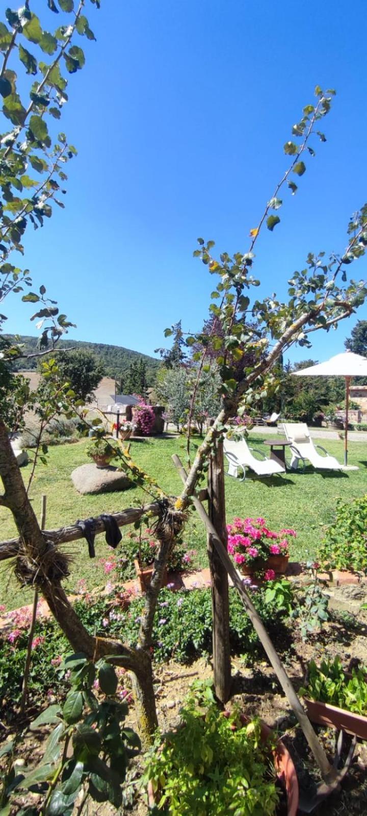 Agriturismo Il Pozzo Castiglione dʼOrcia Eksteriør billede